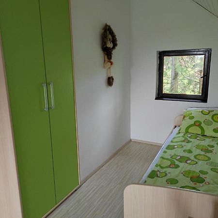 Vila Hajdi Planina Tara Bajina Basta Eksteriør billede