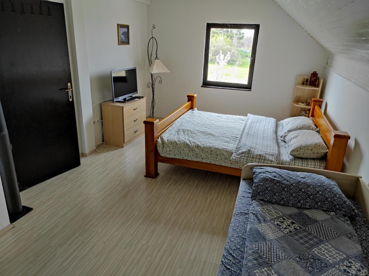 Vila Hajdi Planina Tara Bajina Basta Eksteriør billede