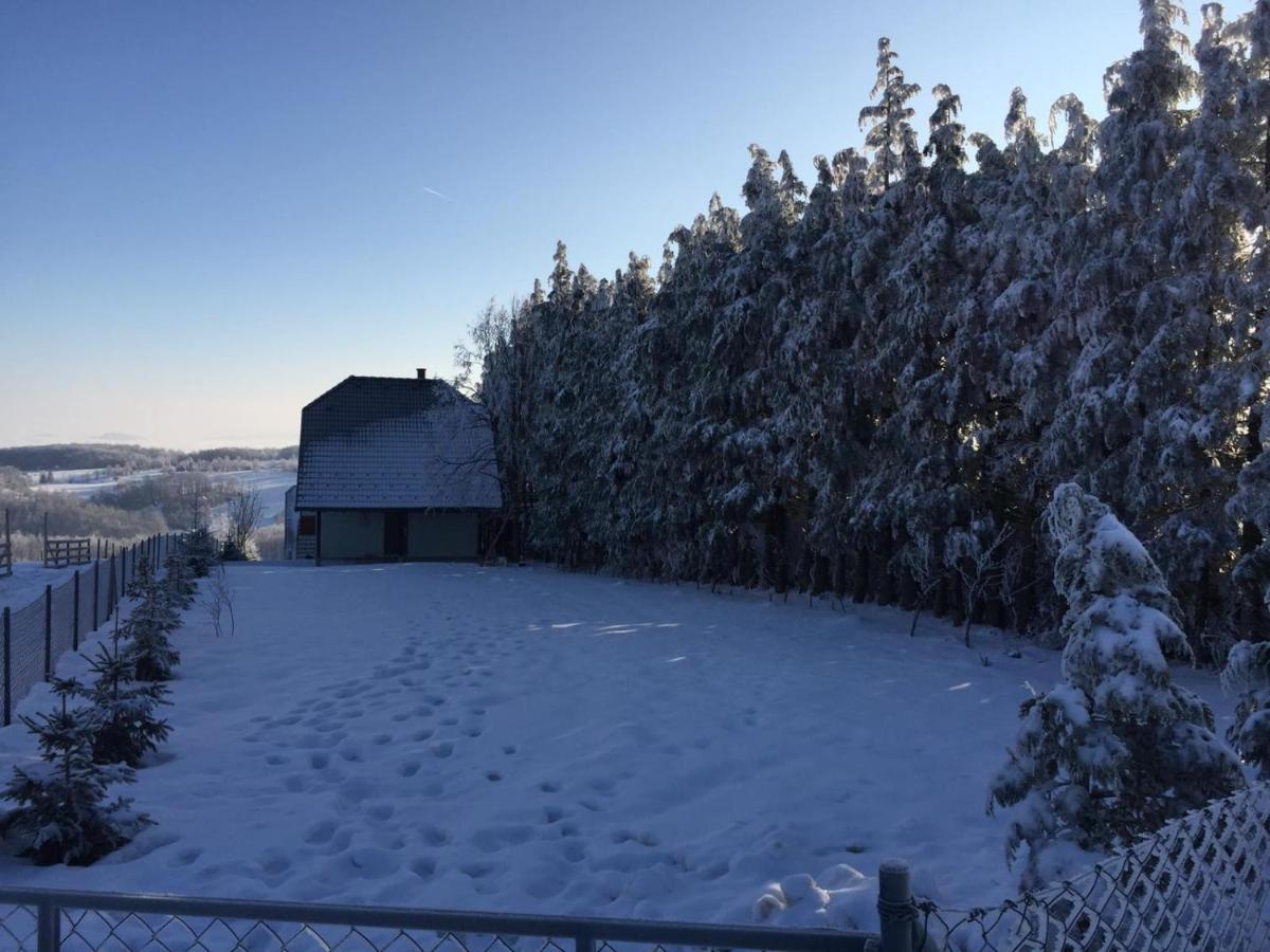 Vila Hajdi Planina Tara Bajina Basta Eksteriør billede
