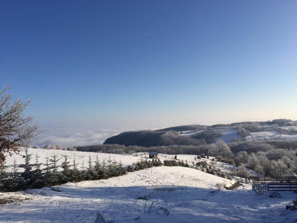 Vila Hajdi Planina Tara Bajina Basta Eksteriør billede