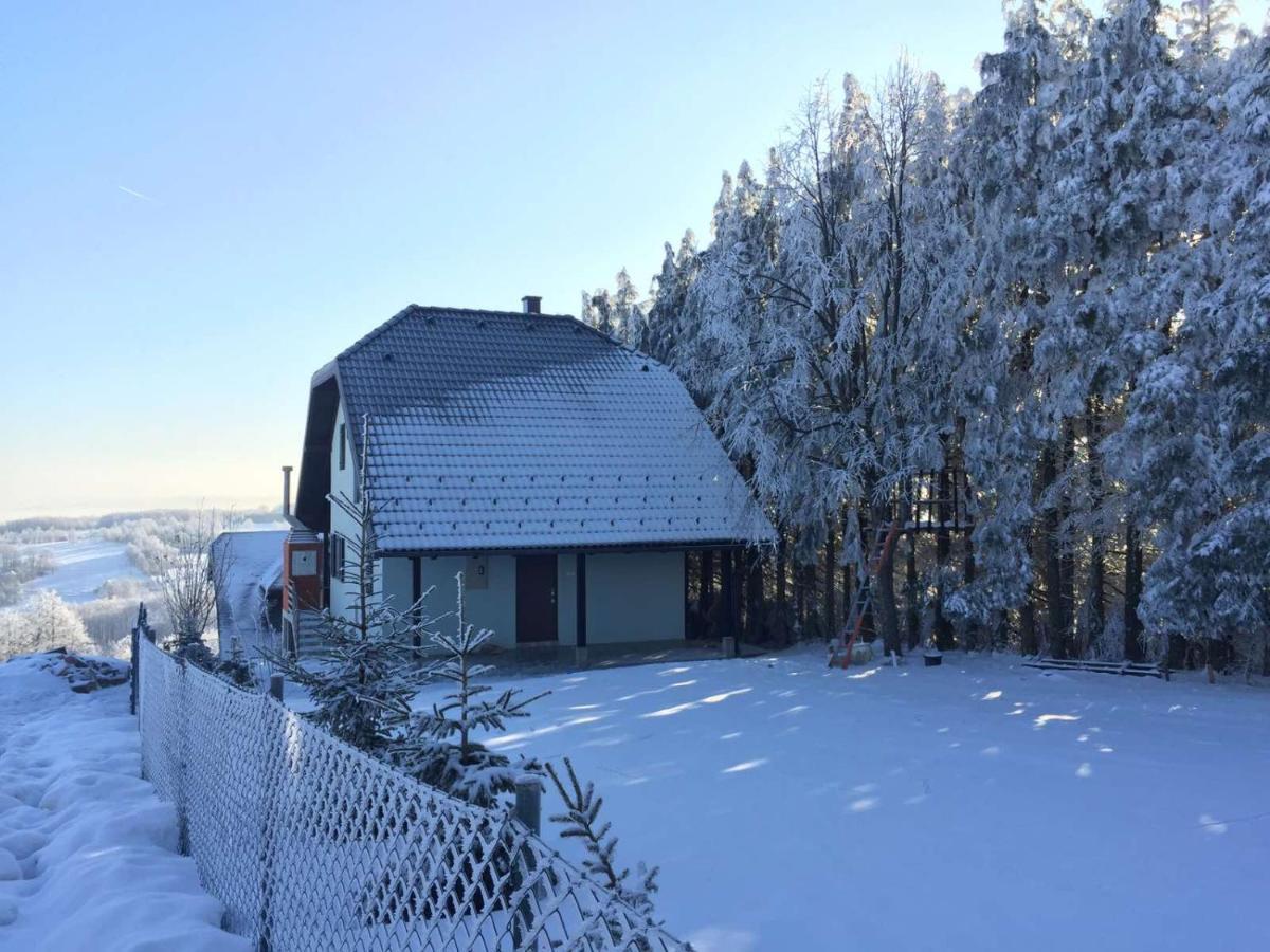 Vila Hajdi Planina Tara Bajina Basta Eksteriør billede